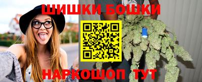 индика Абинск