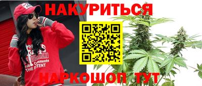 индика Абинск