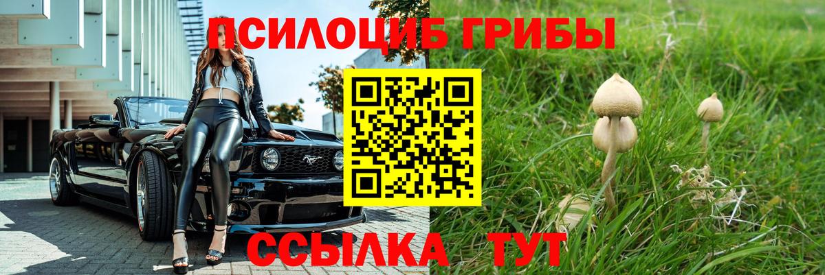 Галлюциногенные грибы Psilocybine cubensis  Вход с VPN  Псилоцибиновые грибы GOLDEN TEACHER  Алексин 